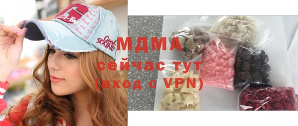 хмурый Белокуриха