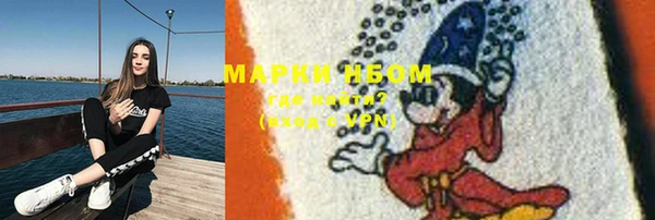 хмурый Белокуриха