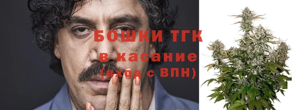 хмурый Белокуриха