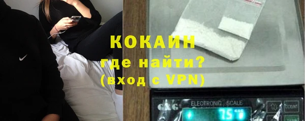 хмурый Белокуриха