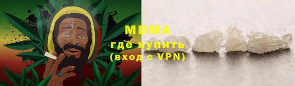 хмурый Белокуриха