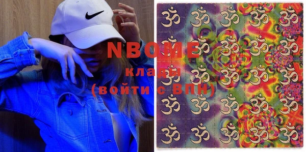хмурый Белокуриха